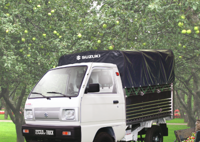 suzuki-carry-truck-vt (2)